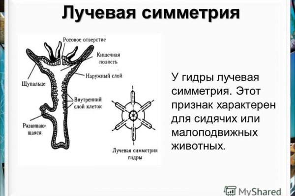 Как оплатить заказ в кракене